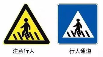 大连路面新增标识引关注，金普驾驶员需警惕，不了解可能“杯具”啦！